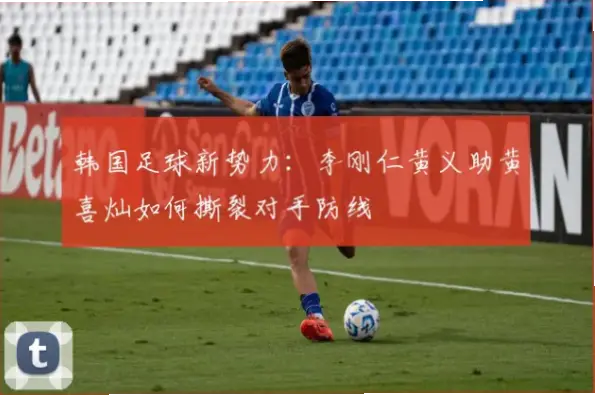 李刚仁黄义助谁能在法甲联赛站稳脚跟？